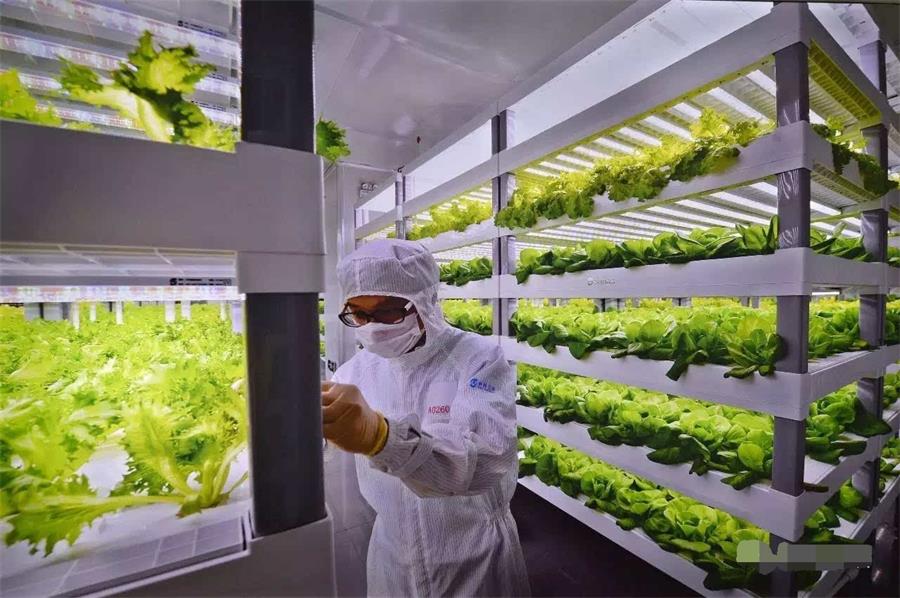 人工氣候室